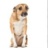 sticker image #11