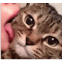 sticker image #18