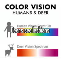 sticker image #29