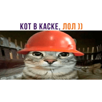 sticker image #3