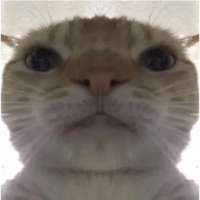 sticker image #16