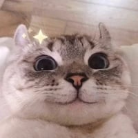 sticker image #21