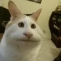 sticker image #22