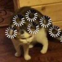 sticker image #3