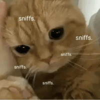 sticker image #30