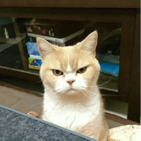 sticker image #11