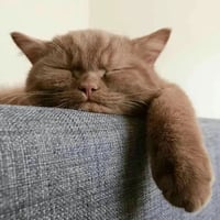 sticker image #18