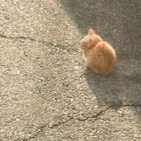 sticker image #21