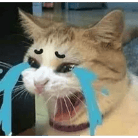 sticker image #24