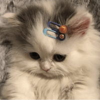 sticker image #3