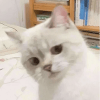 sticker image #30