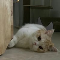 sticker image #8