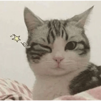 sticker image #15