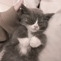 sticker image #18