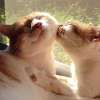 sticker image #20