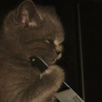 sticker image #22