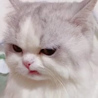 sticker image #23