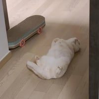 sticker image #12