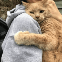 sticker image #18