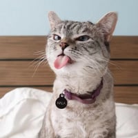 sticker image #25