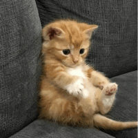 sticker image #29