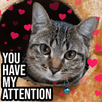 sticker image #2