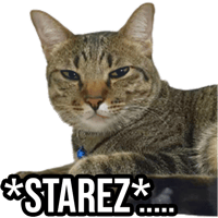 sticker image #27