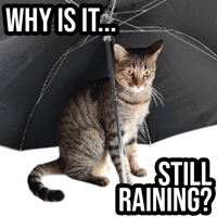 sticker image #28