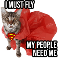 sticker image #29