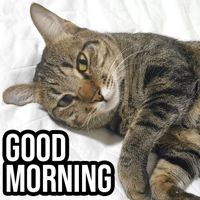 sticker image #6