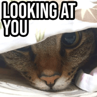 sticker image #7