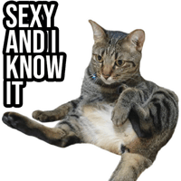 sticker image #9
