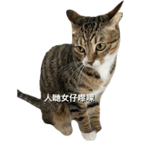 sticker image #17