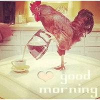 sticker image #10