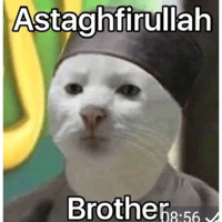 sticker image #7