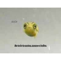 sticker image #19