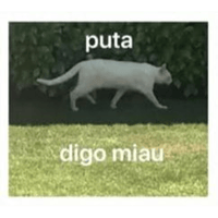 sticker image #28
