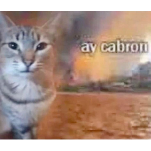 tray_icon #124104 sticker_pack