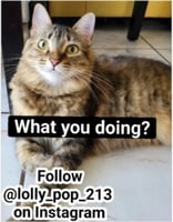 sticker image #1