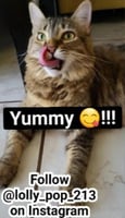 sticker image #10