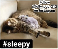 sticker image #11