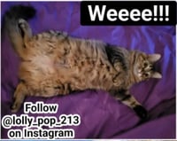 sticker image #12