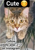 sticker image #13
