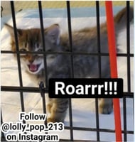 sticker image #14