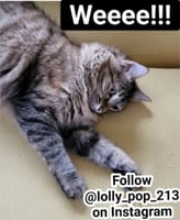 sticker image #15