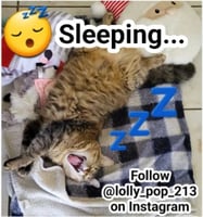 sticker image #17