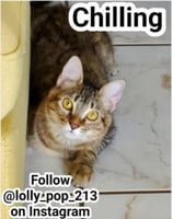 sticker image #2