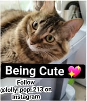 sticker image #20