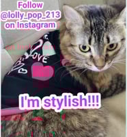sticker image #21