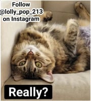 sticker image #22